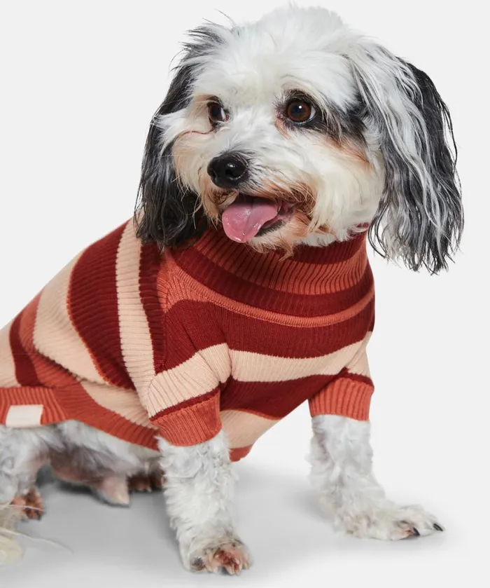 Accessories Ilse Jacobsen Vov and Vuf Dog Knit 8211 Langoustino
