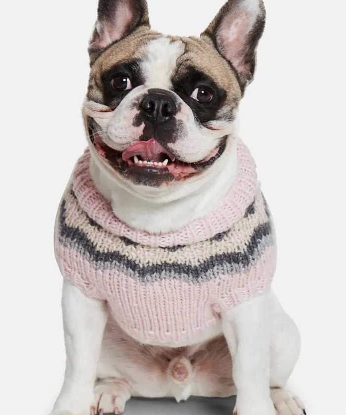 Accessories Ilse Jacobsen Vov and Vuf Dog Knit MediumLarge 8211 Wild Rose
