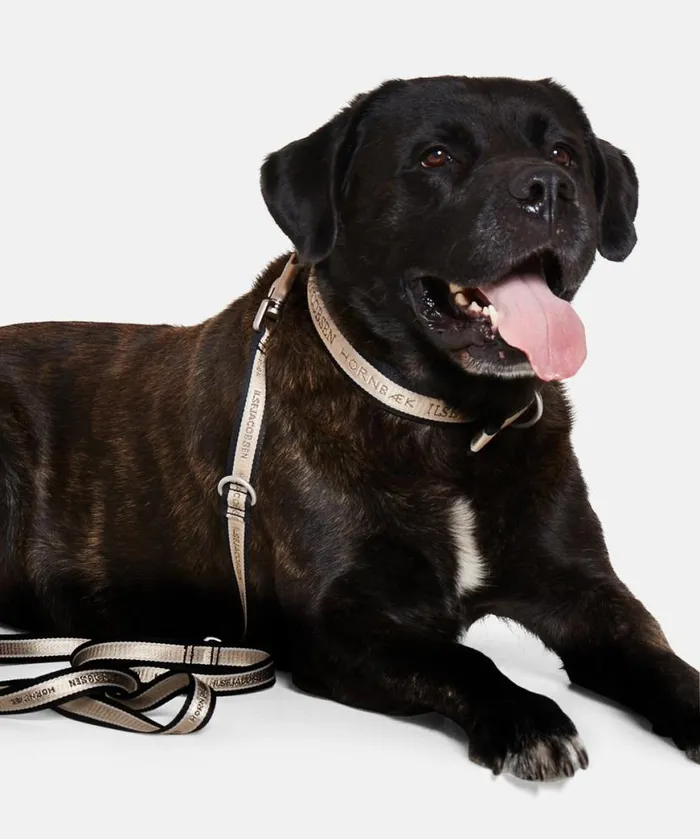 Accessories Ilse Jacobsen Vov and Vuf Dog Leash Long 8211 Platin