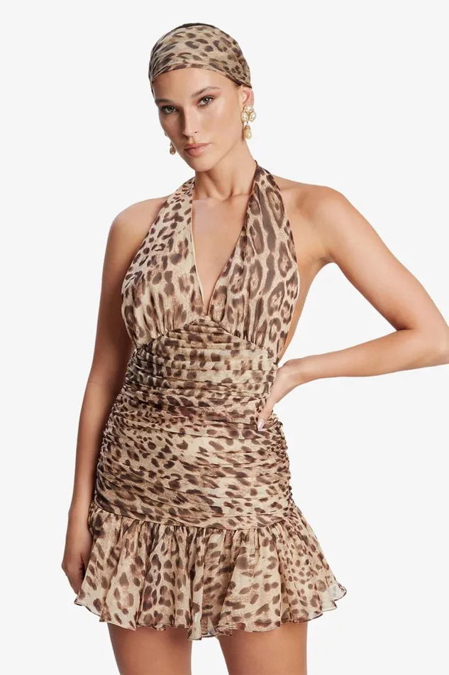 Bardot Party Dresses Women Mave Halter Neck Mini Dress In Brown Leopard Brown Leopard Bardot Party Dresses Women Mave Halter Neck Mini Dress In Brown Leopard Brown Leopard