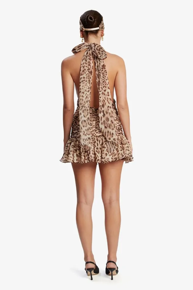 Bardot Party Dresses Women Mave Halter Neck Mini Dress In Brown Leopard Brown Leopard Bardot Party Dresses Women Mave Halter Neck Mini Dress In Brown Leopard Brown Leopard