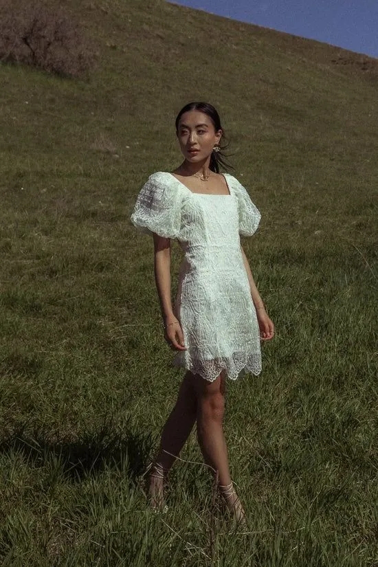 Bohme Maye Lace Mini Dress In White White Women Dresses