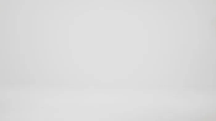 Brahmin Satchels Adrian Chrome Melbourne 8211 Women Brahmin Satchels Adrian Chrome Melbourne 8211 Women