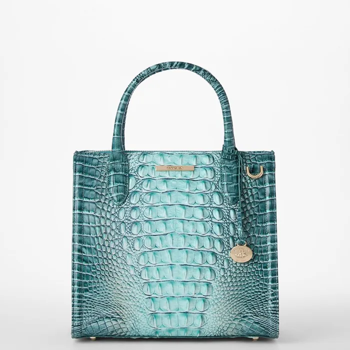 Brahmin Satchels Small Caroline Spearmint Ombre Melbourne 8211 Women