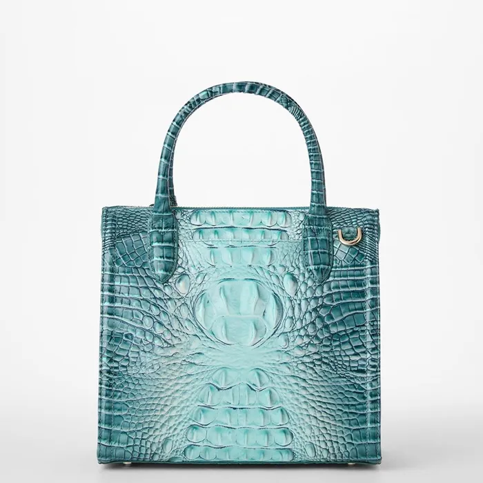 Brahmin Satchels Small Caroline Spearmint Ombre Melbourne 8211 Women