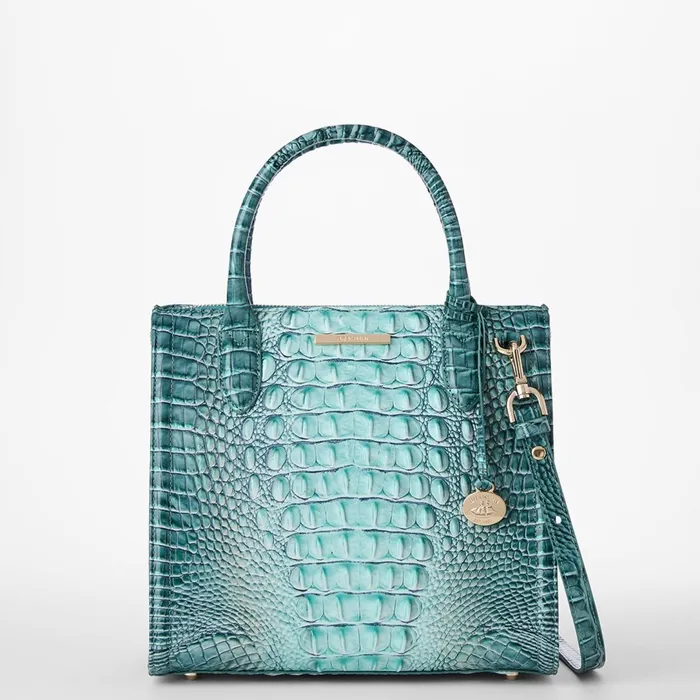 Brahmin Satchels Small Caroline Spearmint Ombre Melbourne 8211 Women