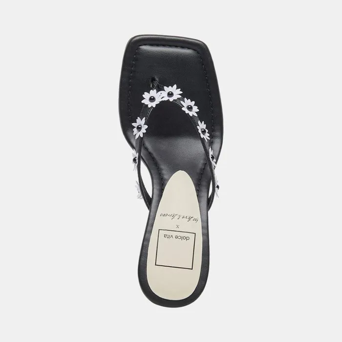 Heels Women Dolce Vita Daphne Heels Black Stella