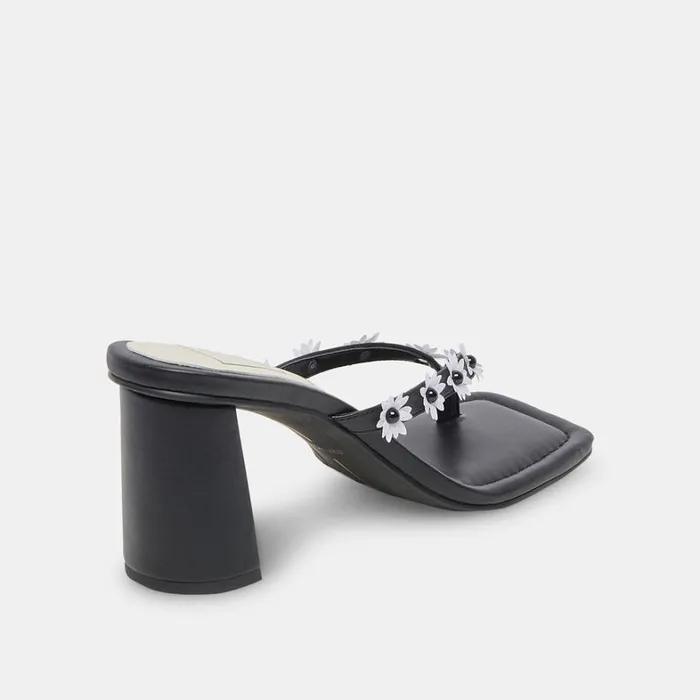 Heels Women Dolce Vita Daphne Heels Black Stella