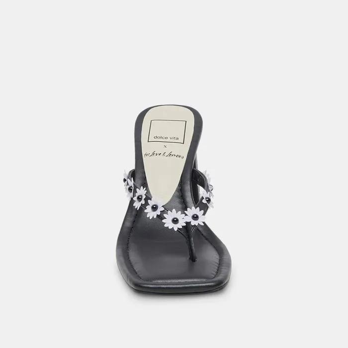 Heels Women Dolce Vita Daphne Heels Black Stella