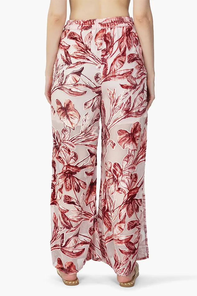 Leaf Velvet Burntout Pants Leaf Velvet Burntout Pants