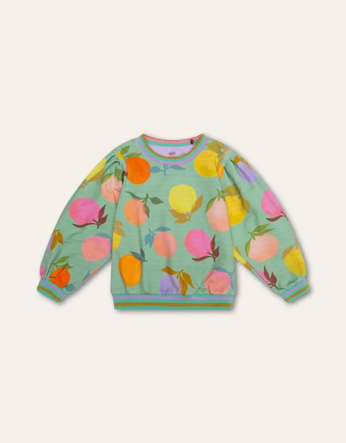 Oilily Sweaters and Hoodies Girls Honny Sweater Fruitballsmeadow