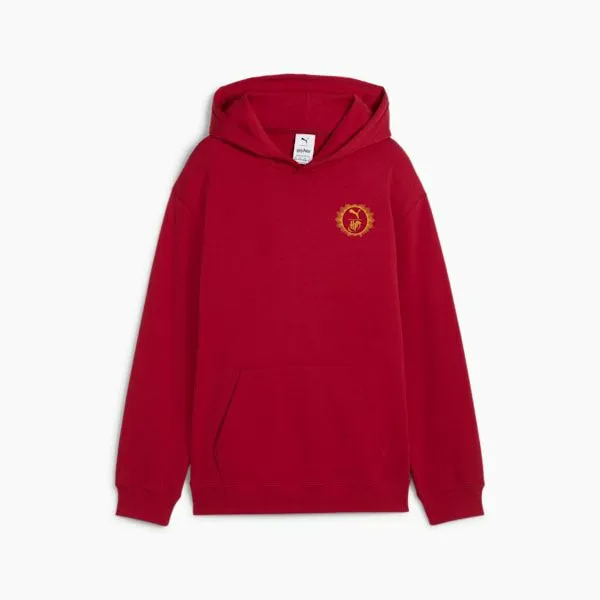 Puma Kids PUMA X HARRY POTTER Big 039 Releaxed Graphic Hoodie Dark Crimson 8211 Kids