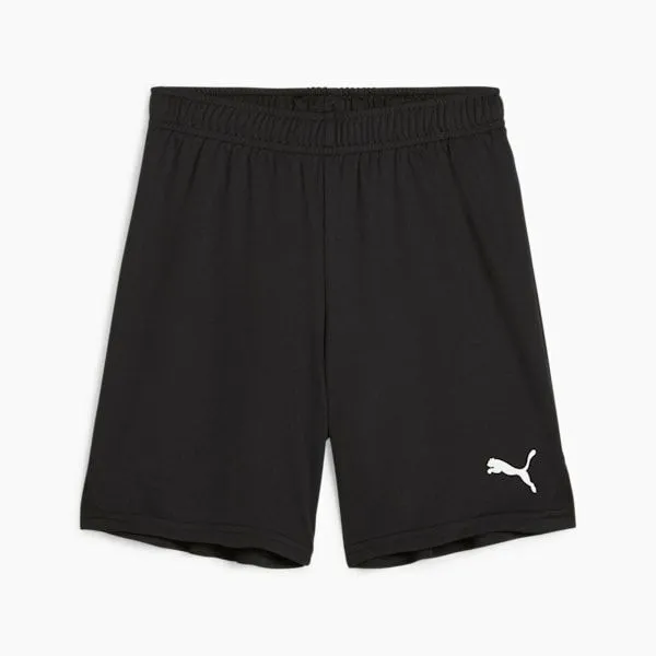 Puma Kids TeamGOAL Big 039 Soccer Shorts Puma Blackpuma White 8211 Kids