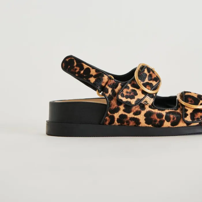 Sandals Women Dolce Vita Starla Sandals Leopard Black Calf Hair