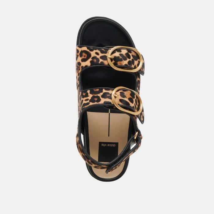 Sandals Women Dolce Vita Starla Sandals Leopard Black Calf Hair