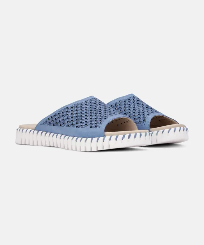 Shoes Ilse Jacobsen Sandals Sandals 8211 Light Regatta