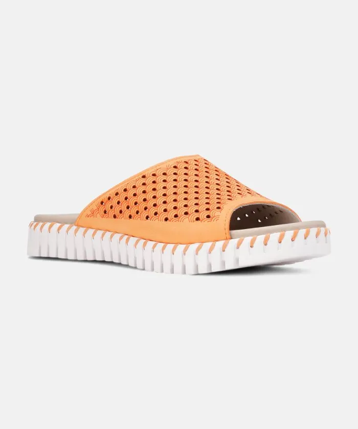 Shoes Ilse Jacobsen Sandals Sandals 8211 Mango Sorbet
