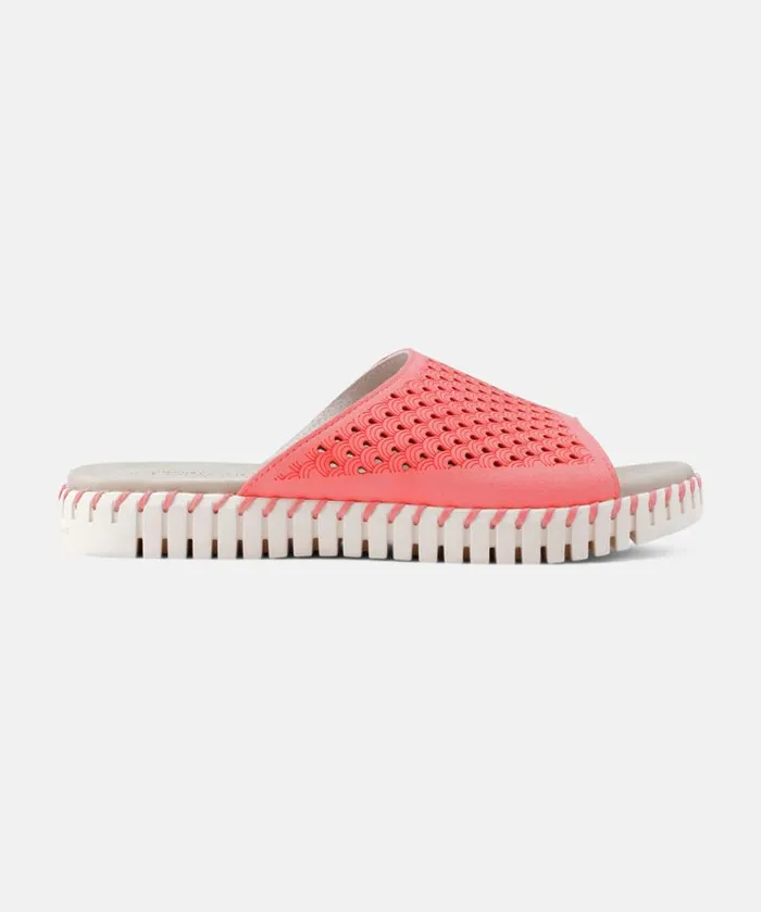 Shoes Ilse Jacobsen Sandals Sandals 8211 Rasperry