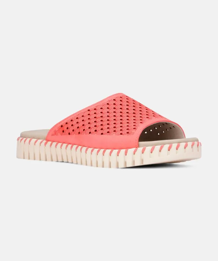 Shoes Ilse Jacobsen Sandals Sandals 8211 Rasperry