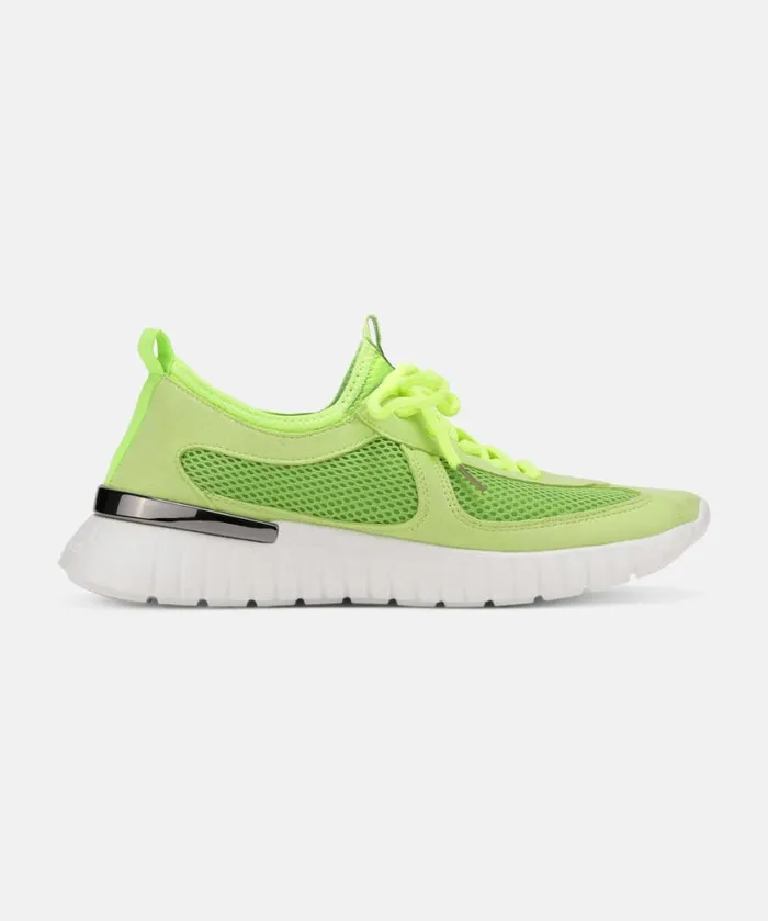 Shoes Ilse Jacobsen Tulip Sneakers Sneakers 8211 Sharp Green