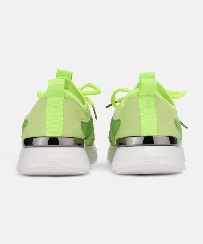 Shoes Ilse Jacobsen Tulip Sneakers Sneakers 8211 Sharp Green