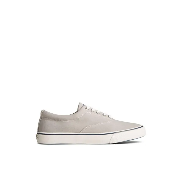 Sperry Sneakers Striper II Canvas CVO Sneaker Grey 8211 Men