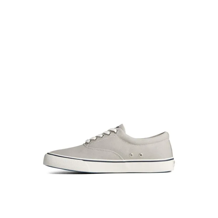 Sperry Sneakers Striper II Canvas CVO Sneaker Grey 8211 Men