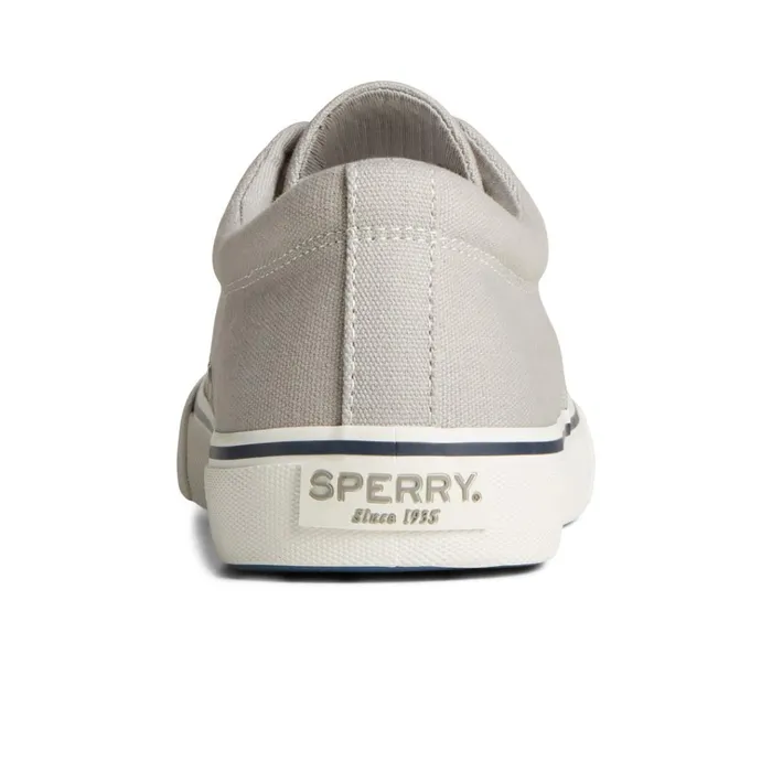 Sperry Sneakers Striper II Canvas CVO Sneaker Grey 8211 Men