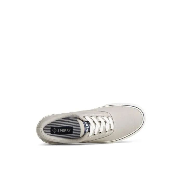 Sperry Sneakers Striper II Canvas CVO Sneaker Grey 8211 Men